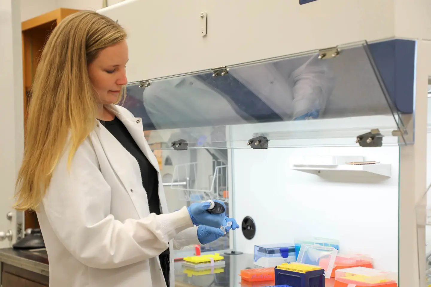 Dr. Cara N. Love pipetting samples at a laboratory biosafety cabinet